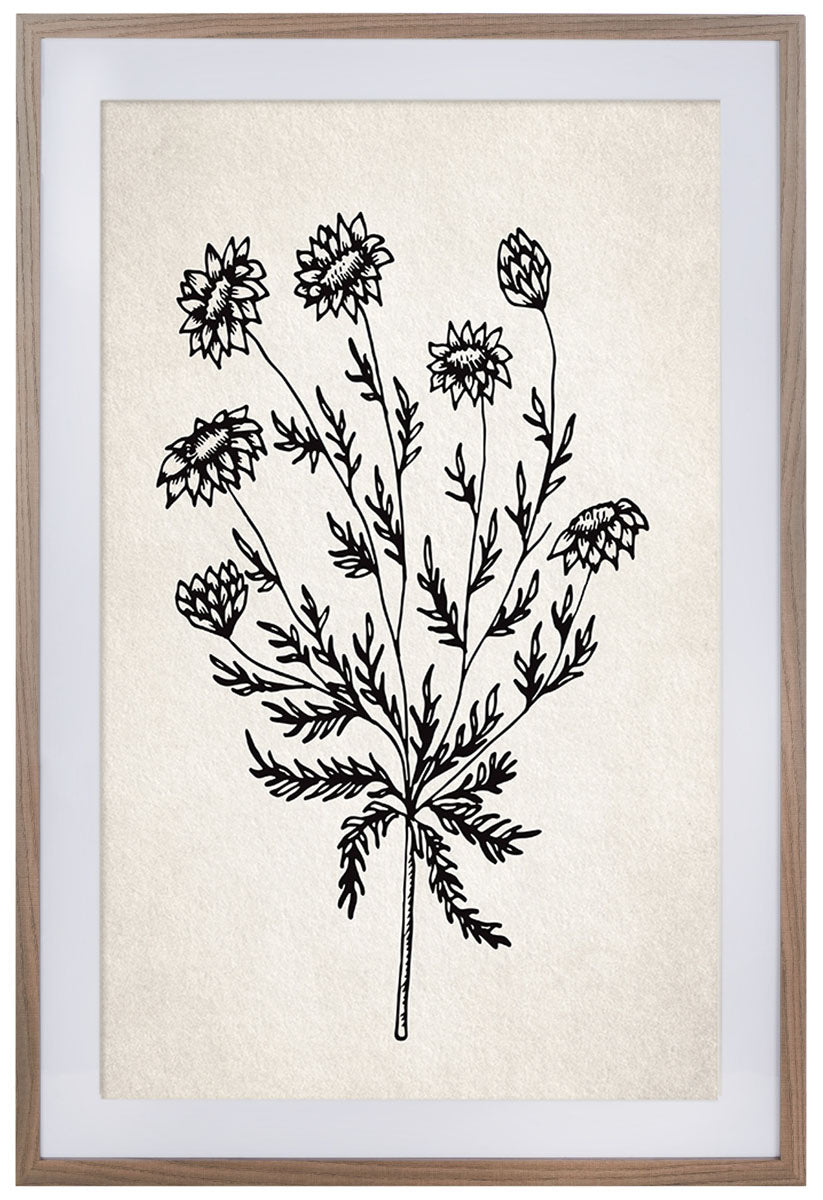 Fresh Cut Flora Wall Art | Safavieh - WLA3011
