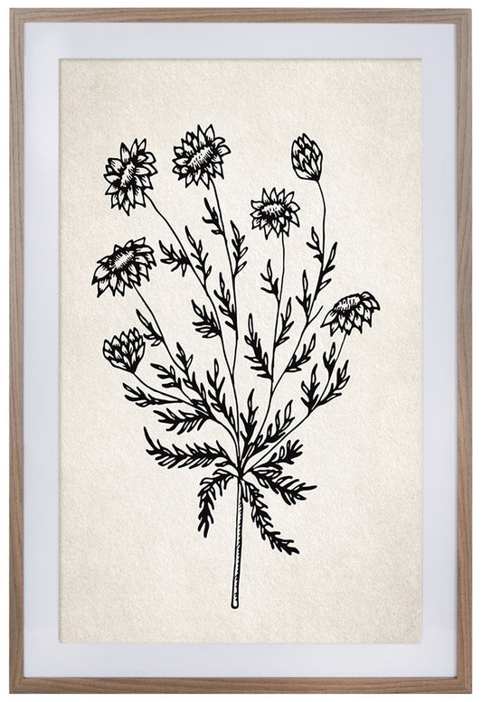 Fresh Cut Flora Wall Art | Safavieh - WLA3011